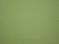 Трикотаж зеленый полиэстер АД251