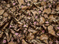 Костюмная коричневая розовая ткань пейсли хлопок эластан ЕА258