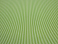 Бифлекс зеленый белый полоска полиэстер АИ322