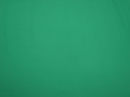 Трикотаж зеленый полиэстер АД243