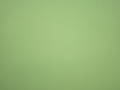 Бифлекс салатового цвета полиэстер АА223