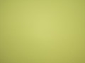 Бифлекс салатового цвета полиэстер АА139