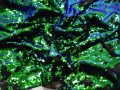 Сетка с зелеными пайетками полиэстер ГБ42
