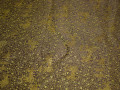 Китайский шёлк коричневый золотой узор полиэстер ЕБ2160