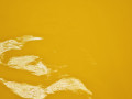 Лаке желтого цвета полиэстер ГГ1104