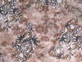Плательная коричневая белая ткань цветы листья ЕВ679
