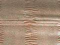 Кожзаменитель фактурный бежевый коричневый ДМ343