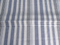 Рубашечная белая голубая ткань полоска ВГ4113