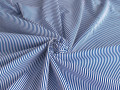 Рубашечная белая синяя ткань полоска ЕВ4124
